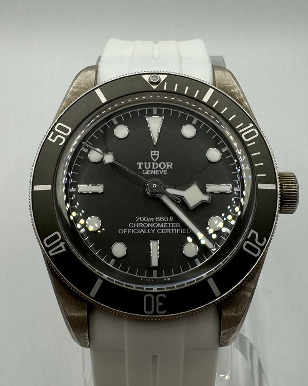 Tudor Black Bay (79010SG)