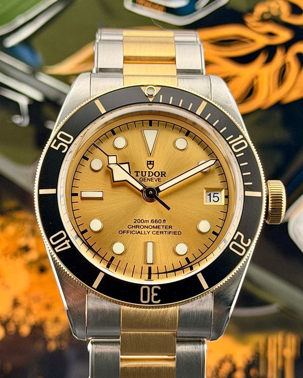 Tudor Black Bay (79733N)