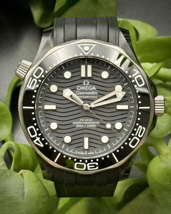 Omega Seamaster 300 (210.92.44.20.01.001)
