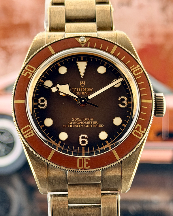 Tudor Black Bay (M79012M)