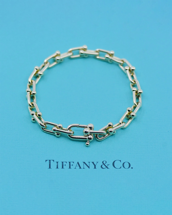 Cartier Santos 100