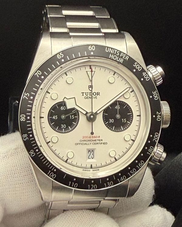 (WORKING) Tudor Black Bay (79360N)