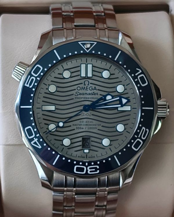 Omega Seamaster (231.20.42.21.06.001)
