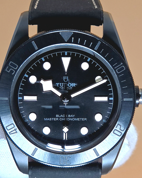 Tudor Black Bay (79210CNU)