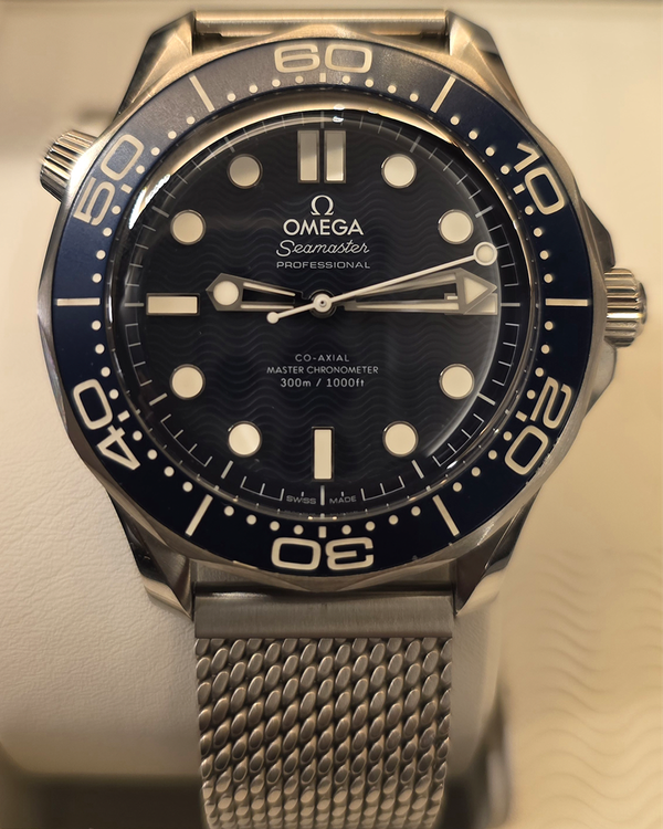 Omega Seamaster (21030422003002)