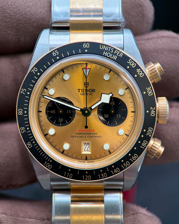 Tudor Black Bay (M79363N)