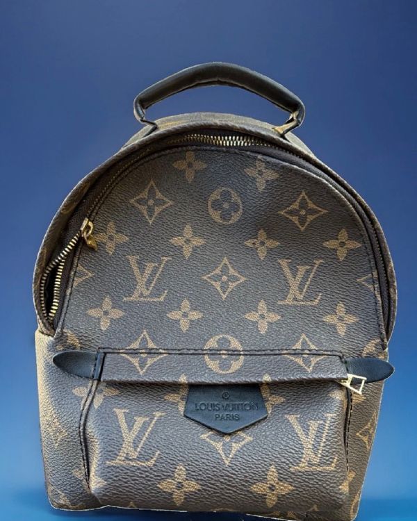 No Reserve - Louis Vuitton Monogram Palm Springs Mini Backpack Canvas Gold-Tone Hardware (Monogram Canvas)