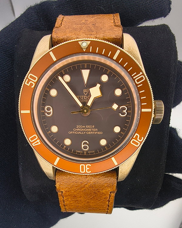 Tudor Black Bay (79250BM)