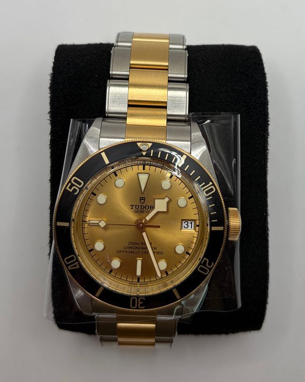 2026 Tudor Black Bay S&G 41MM Champagne Dial Two-Tone Bracelet (79733N)