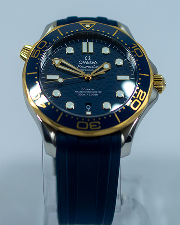 Omega Seamaster 300 (210.22.42.20.03.001)