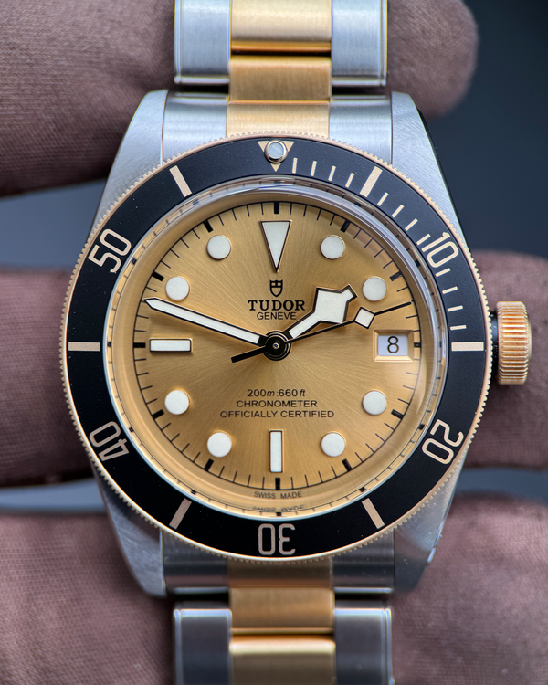2026 Tudor Black Bay S&G 41MM Champagne Dial Two-Tone Bracelet (79733N)
