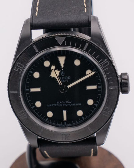 2022 Tudor Black Bay 41MM Black Dial Rubber Strap (M79210CNU)