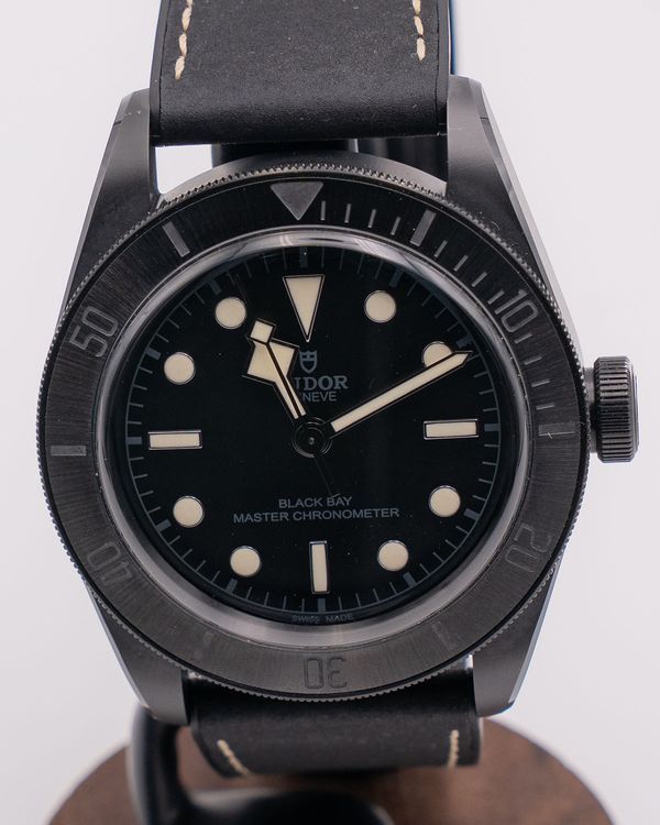 2022 Tudor Black Bay 41MM Black Dial Rubber Strap (M79210CNU)