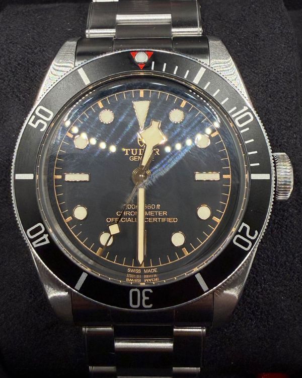 (Working) Tudor Black Bay (79230N)