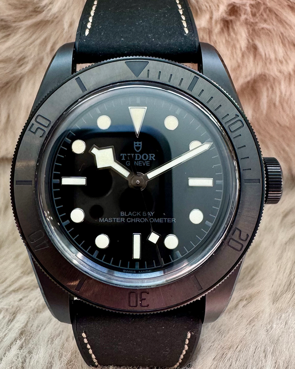 Tudor Black Bay (79210CNU)