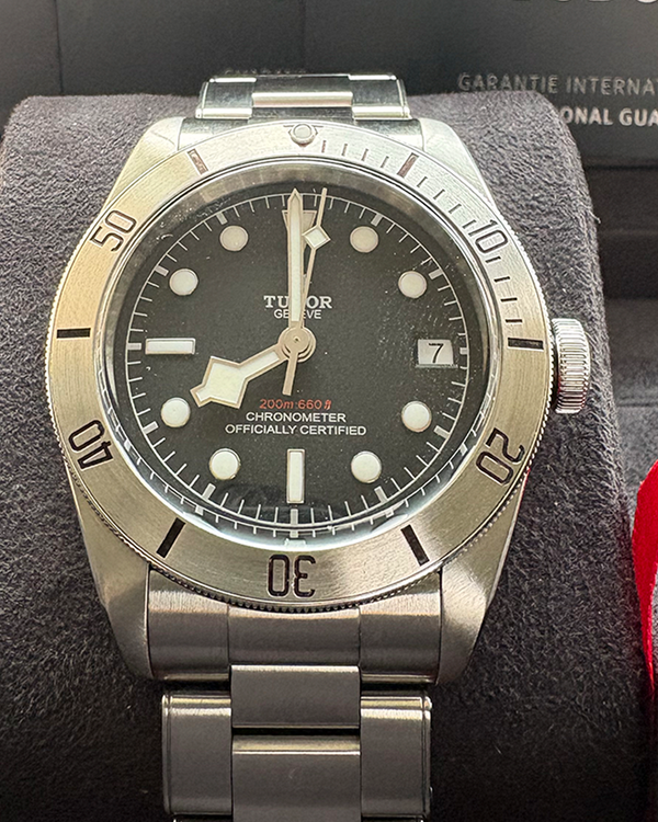 Tudor Black Bay (79730)