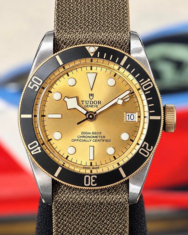 No Reserve - 2026 Tudor Black Bay S&G 41MM Champagne Dial Textile Strap (79733N)