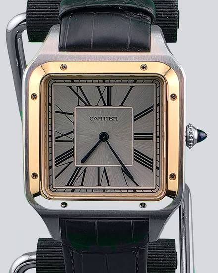 2026 Cartier Santos Dumont XL 46MM Silver Dial Leather Strap (W2SA0034)
