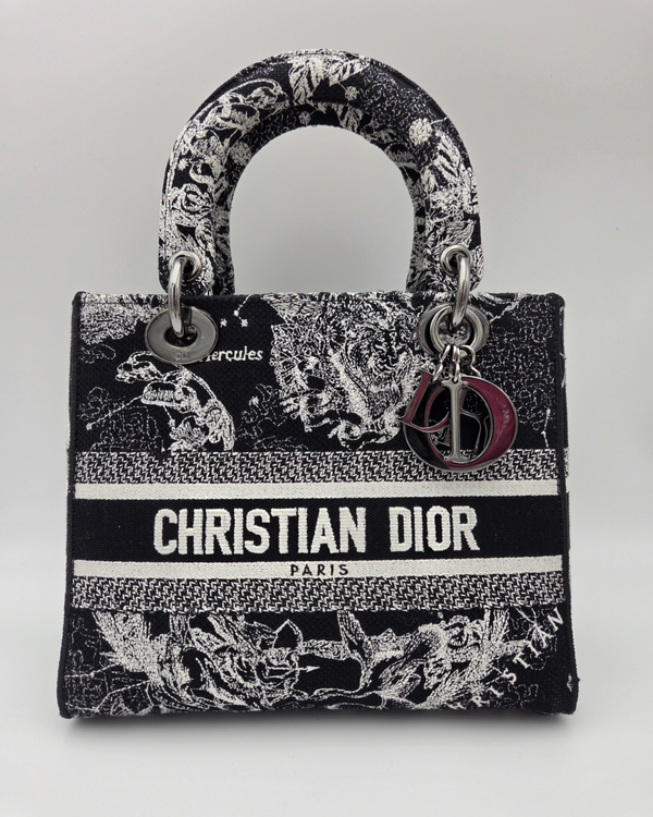 2022 Dior Small Bag Black Textile Canvas Silver Hardware Textile Strap (Bag)