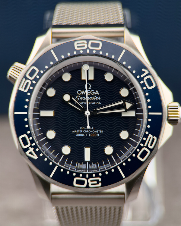 Omega Seamaster 300 (210.30.42.20.03.002)