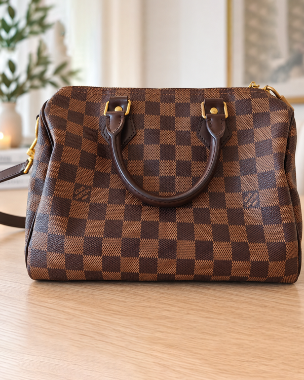 Louis Vuitton x TM Speedy
