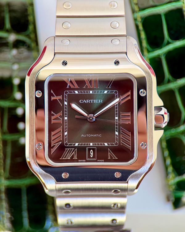 Cartier Santos De Cartier (WSSA0062)