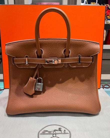 2022 Hermes Birkin 25 Gold Togo Leather Palladium Hardware- U (Bag)