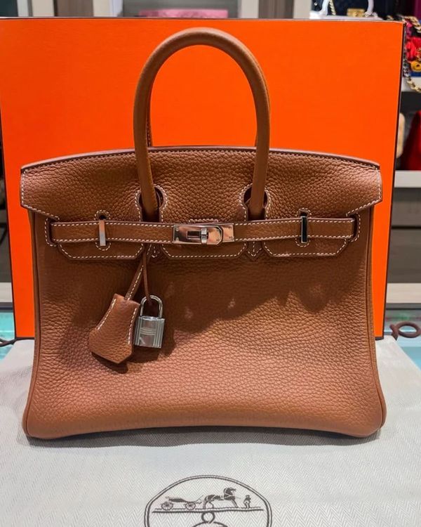 2022 Hermes Birkin 25 Gold Togo Leather Palladium Hardware- U (Bag)