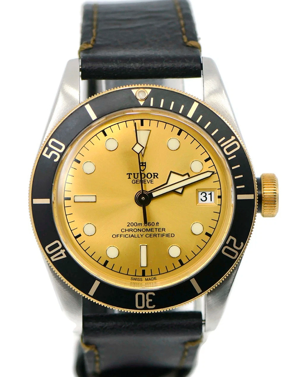 2018 Tudor Black Bay S&G 41MM Champagne Dial Leather Strap (79733N)