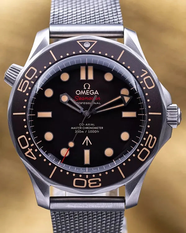 Omega Seamaster 300 (210.90.42.20.01.001)