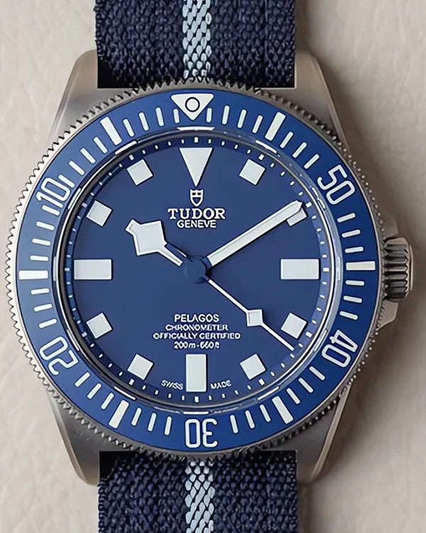 Tudor Pelagos (25707B/23)