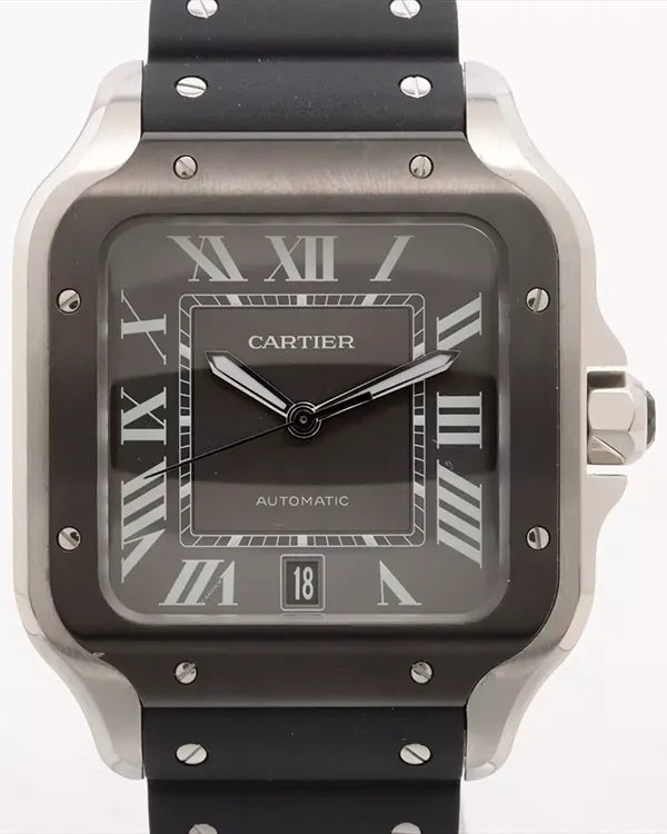 Cartier Santos De Cartier (WSSA0037)