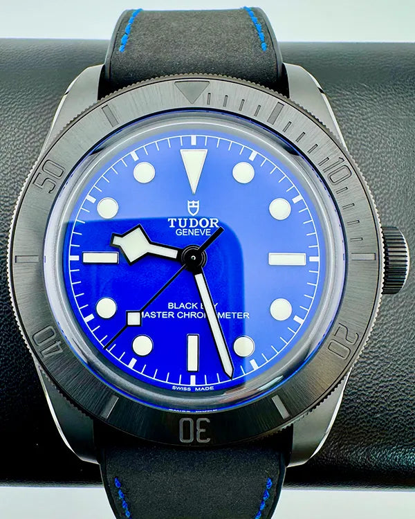 Tudor Black Bay (79210CNU)