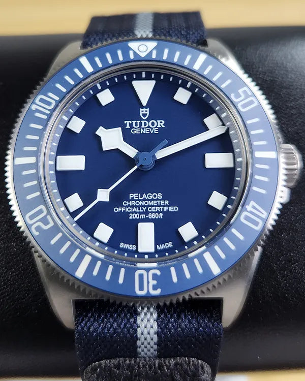 Tudor Pelagos (25707B/24)