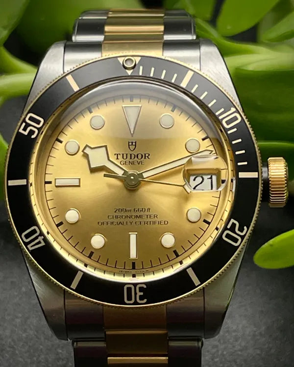 2022 Tudor Black Bay 41MM Champagne Dial Two-Tone Bracelet (M79733N)