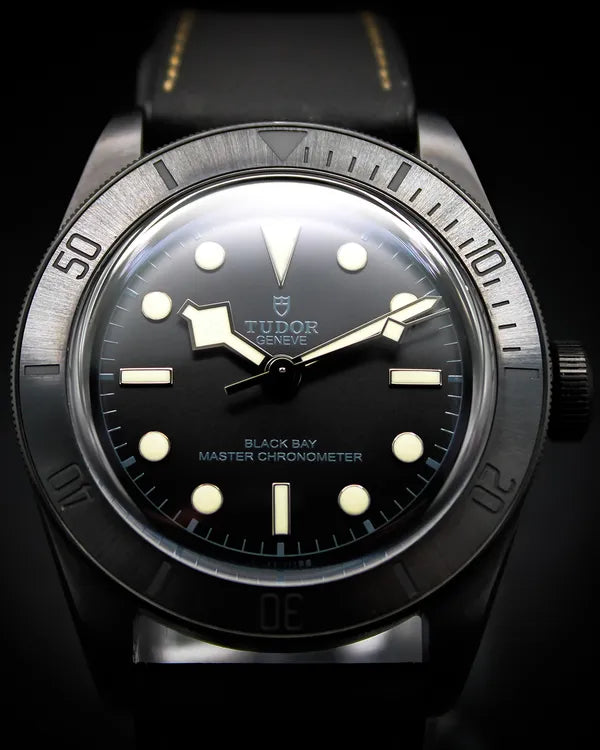 2022 Tudor Black Bay 41MM Black Dial Leather Strap (79210CNU)