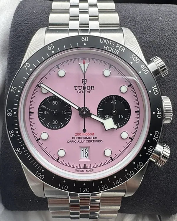 (Albert) Tudor Black Bay (79360N-0019, 79360N)