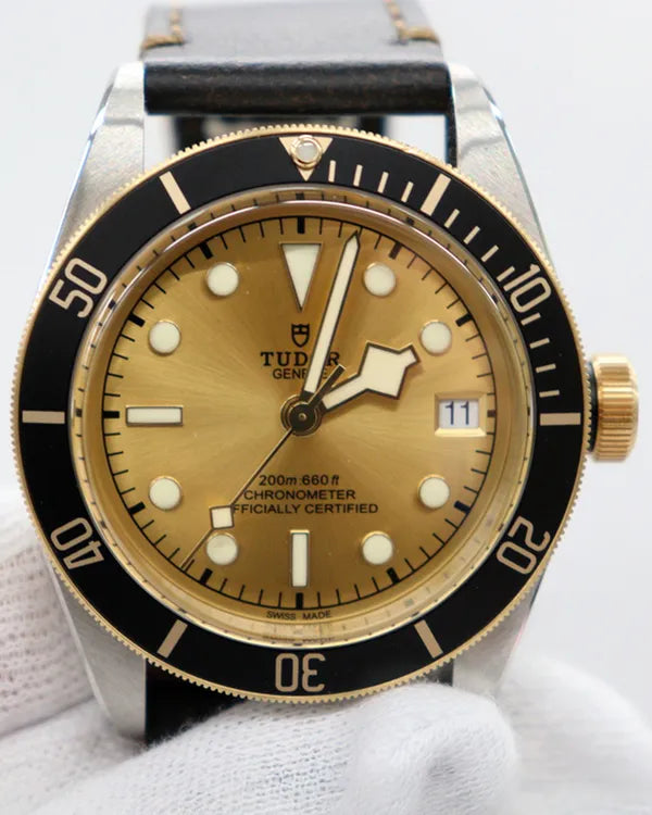Tudor Black Bay (79733N)