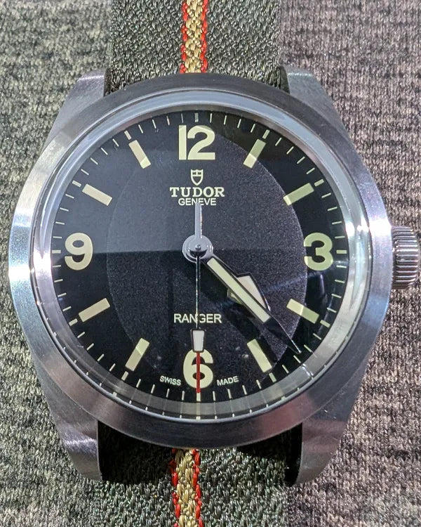 Tudor Ranger (79950)