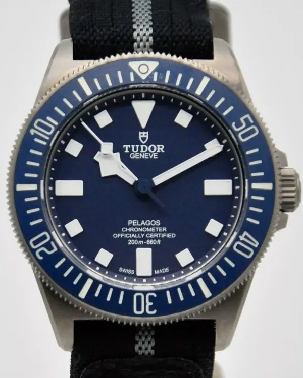 Tudor Pelagos (25707B/21)