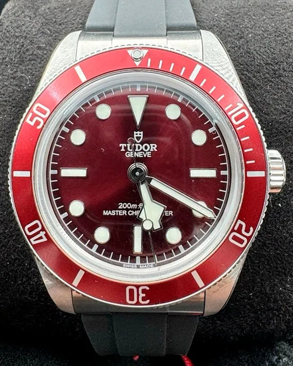 Tudor Black Bay (M7939A1A0RU-0003)