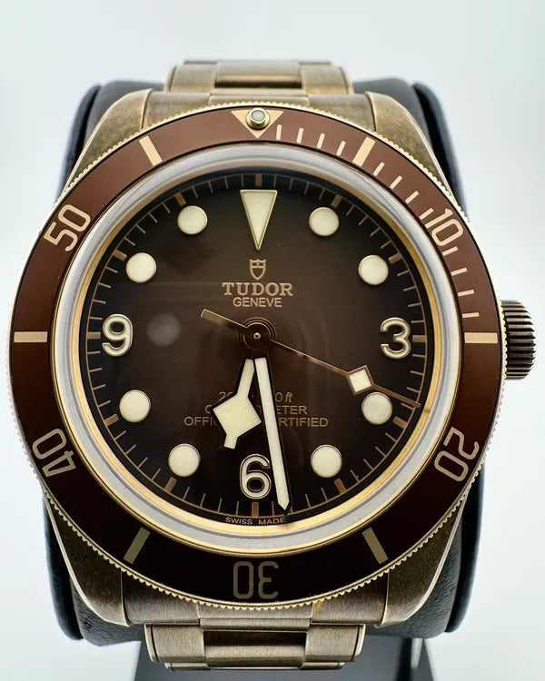 (Albert) Tudor Black Bay (79012)