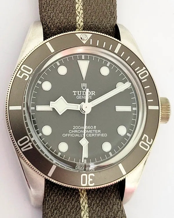 Tudor Black Bay (79010SG)