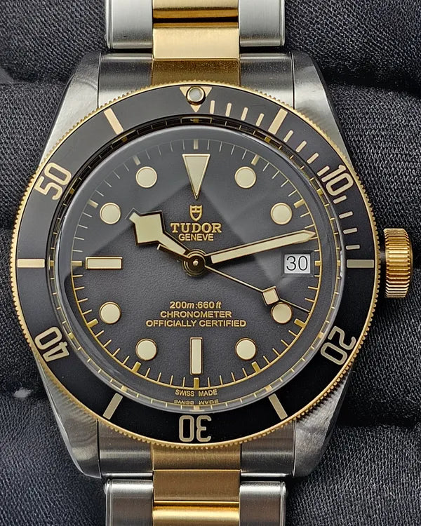 Tudor Black Bay (79733N)