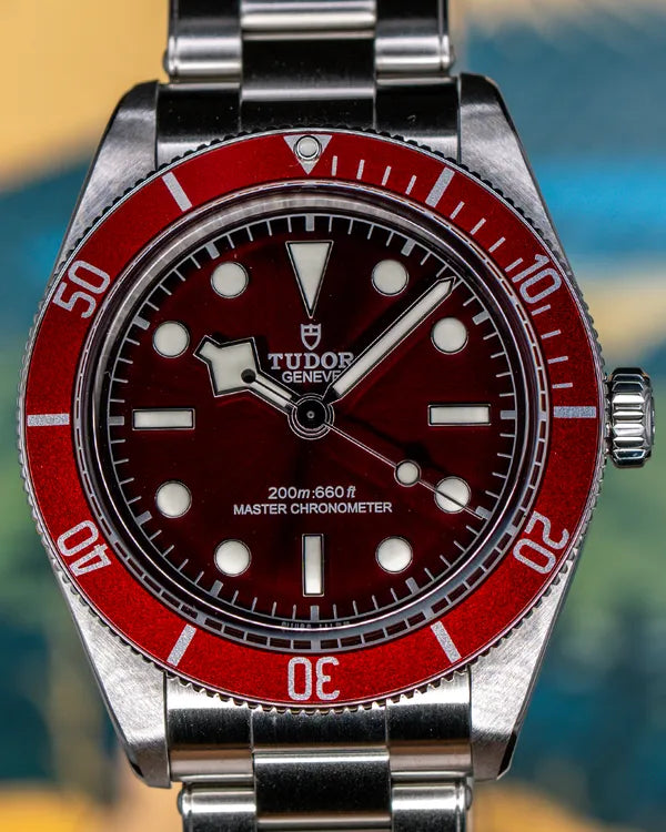 Tudor Black Bay (7939A1A0RU)