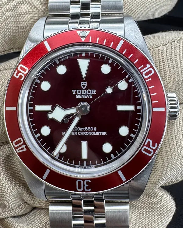 Tudor Black Bay (7939A1A0RU)