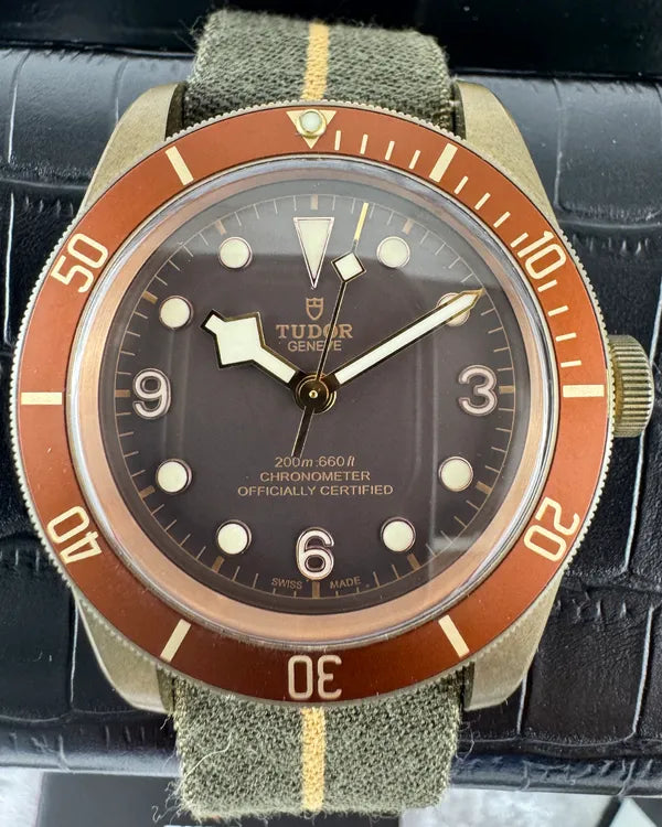 Tudor Black Bay (79250BM)