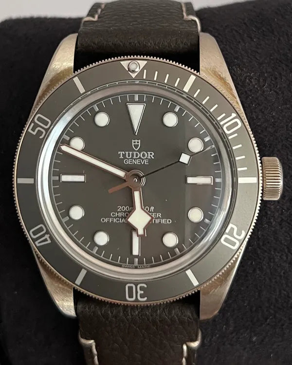 Tudor Black Bay (M79010SG-0001)