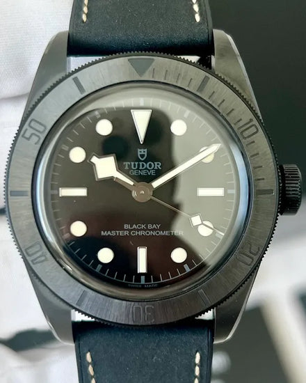 2021 Tudor Black Bay 41MM Black Dial Leather Strap (79210CNU)