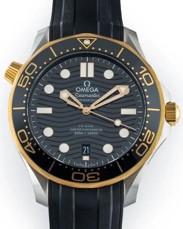 Omega Seamaster (210.20.42.20.01.001)